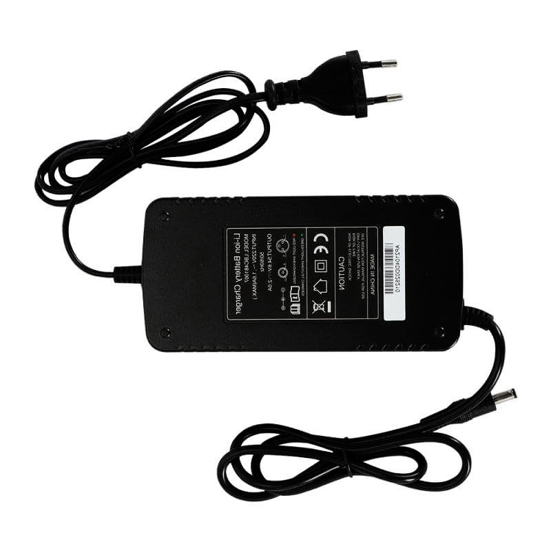 Fiido Electric Bike Charger For M1 Pro