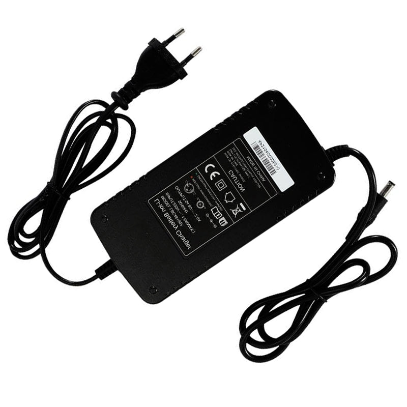Fiido Electric Bike Charger For M1 Pro
